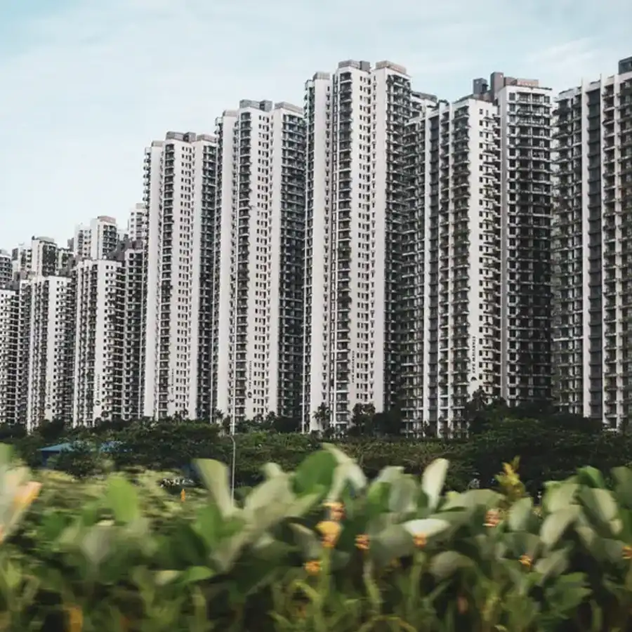 Forest City Residence